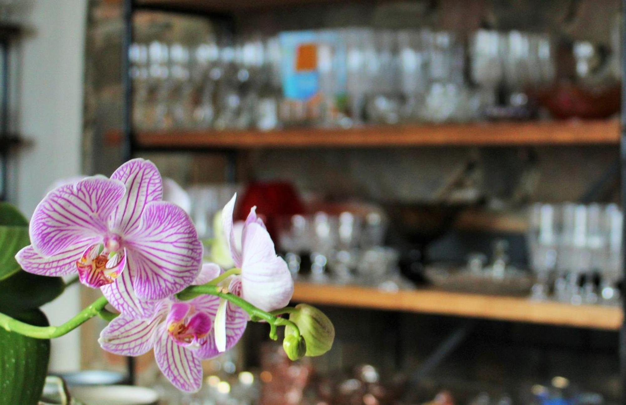 Barrydale Karoo - Boutique Hotel Ngoại thất bức ảnh