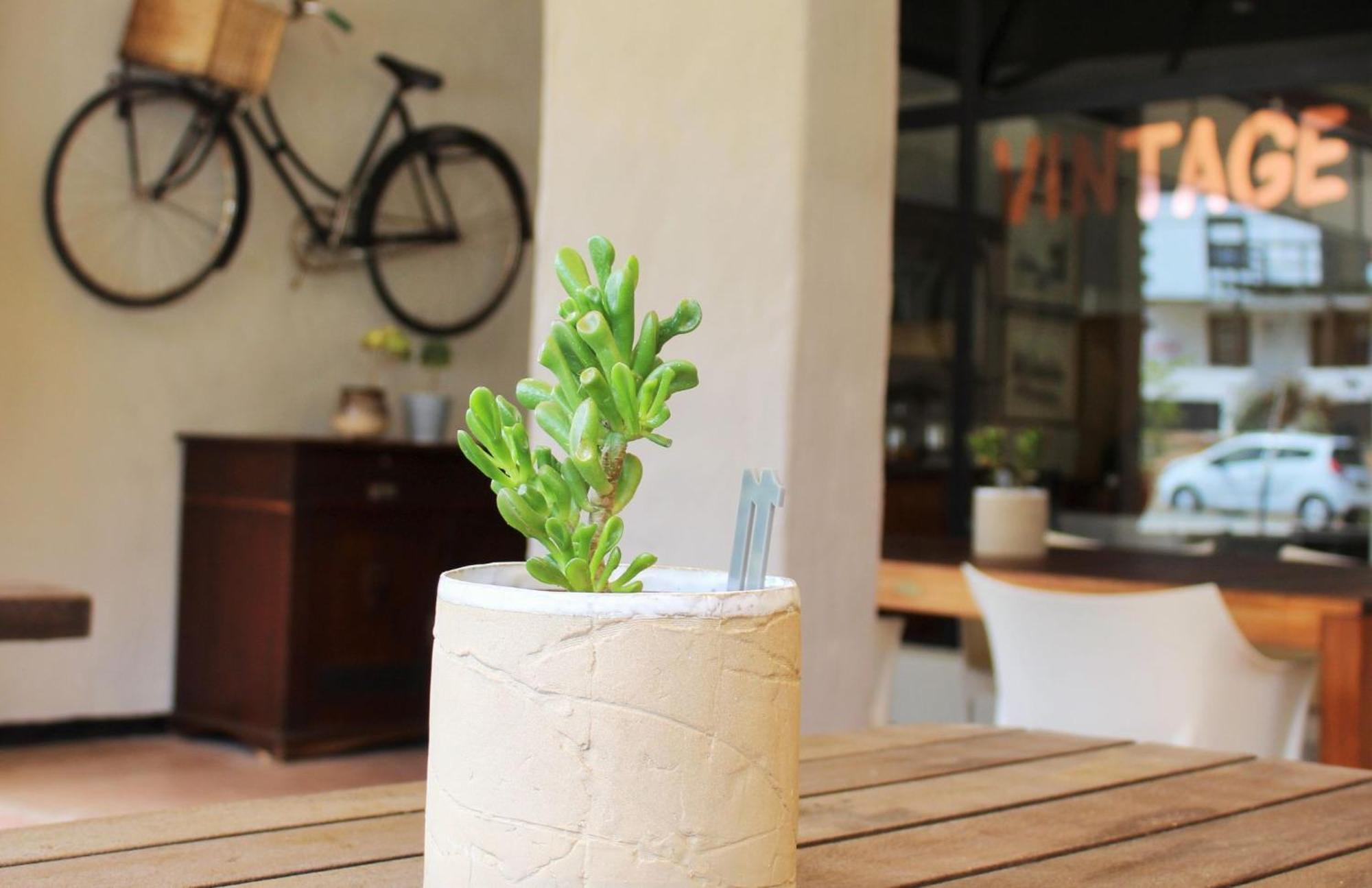 Barrydale Karoo - Boutique Hotel Ngoại thất bức ảnh