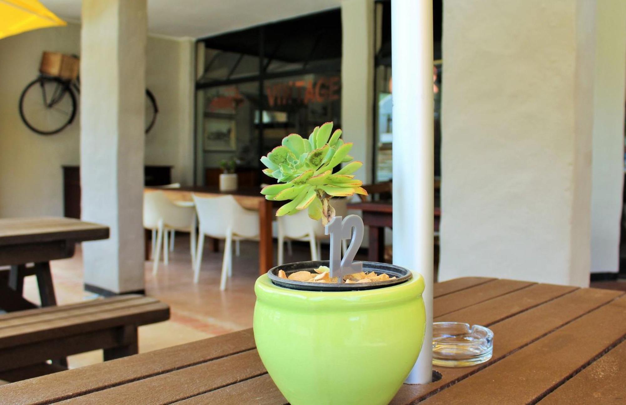 Barrydale Karoo - Boutique Hotel Ngoại thất bức ảnh